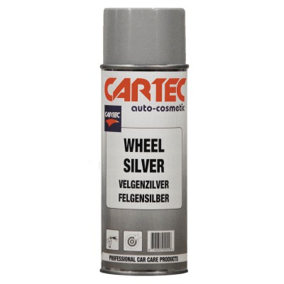 Wheel Silver Spray